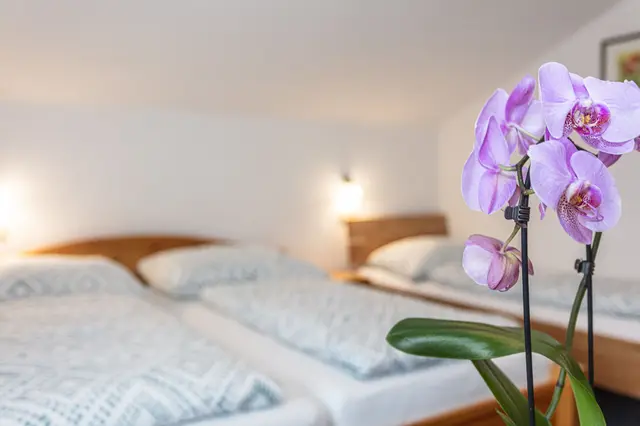 Zimmer 4 - Familienzimmer 3-Bett